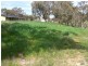 49 Isaacs Road, Young NSW 2594