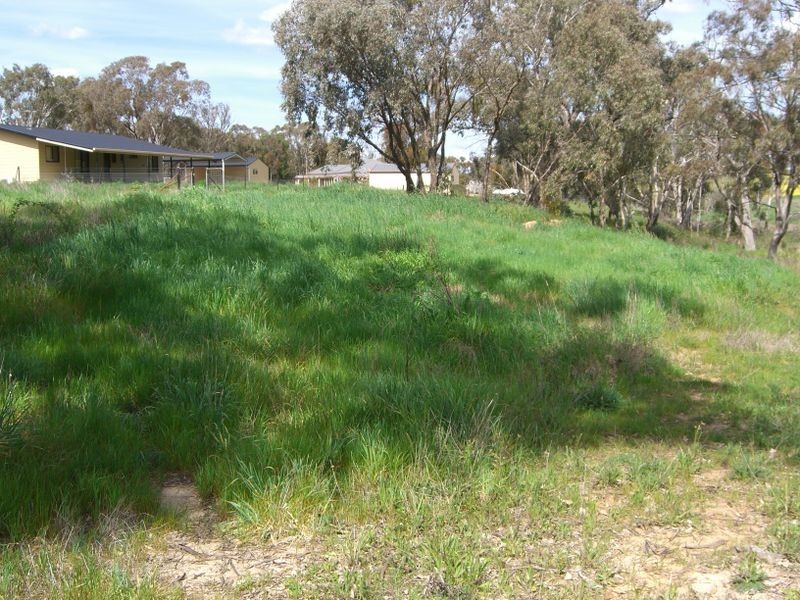 49 Isaacs Road, Young NSW 2594