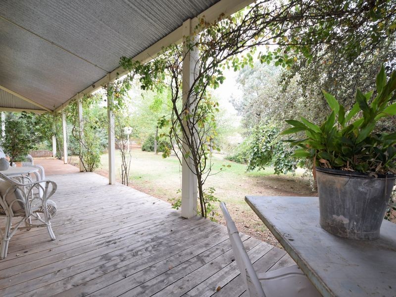 45 Taylor Road, Young NSW 2594