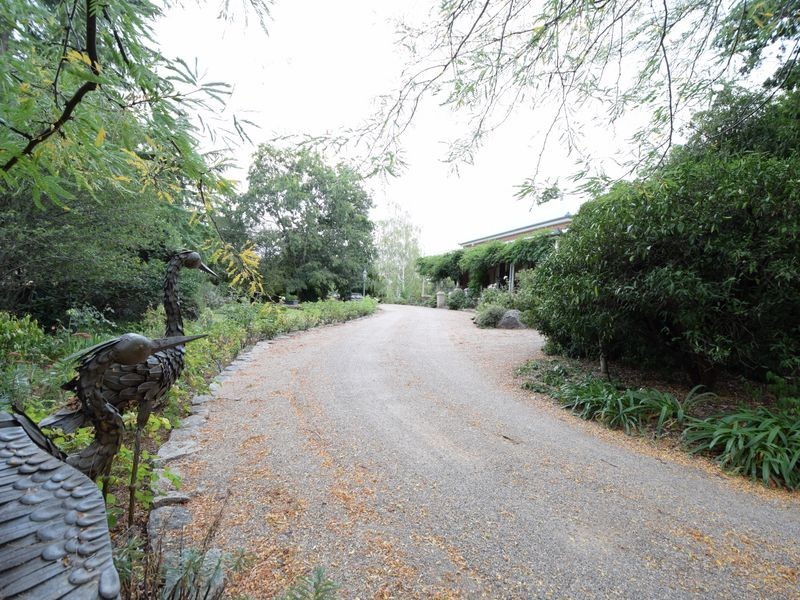 45 Taylor Road, Young NSW 2594