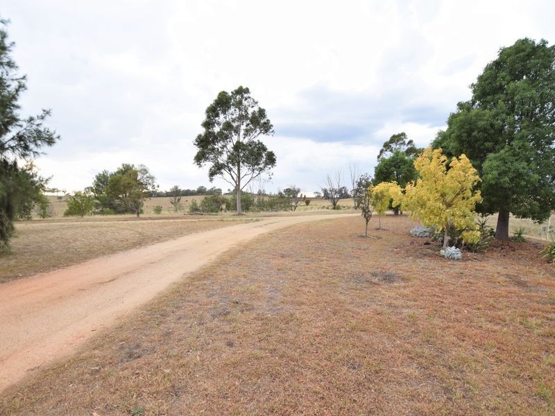 685 Olympic Hwy North, Young NSW 2594