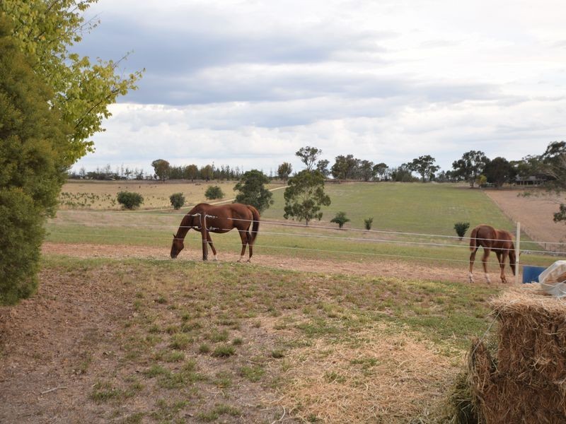 685 Olympic Hwy North, Young NSW 2594