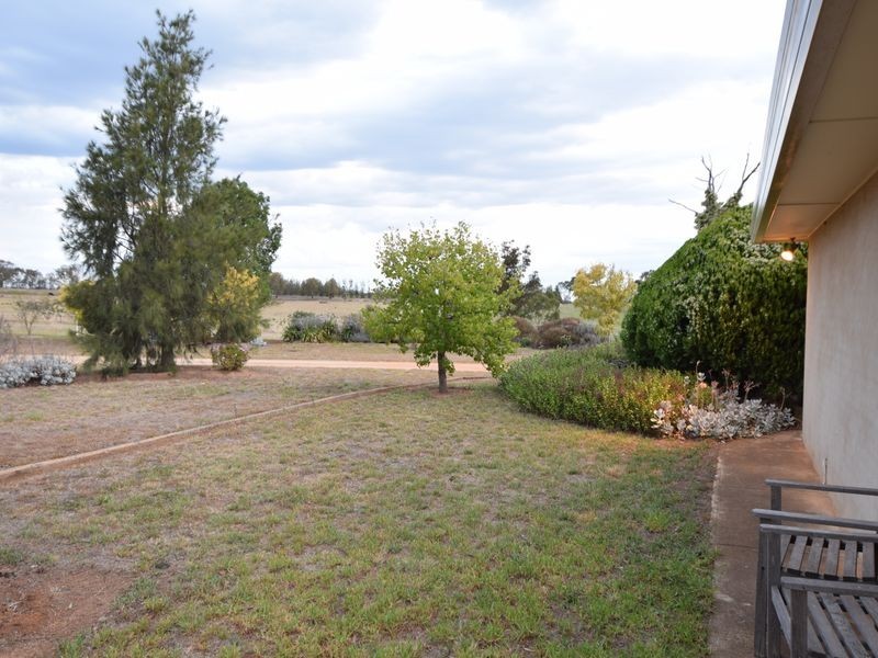 685 Olympic Hwy North, Young NSW 2594