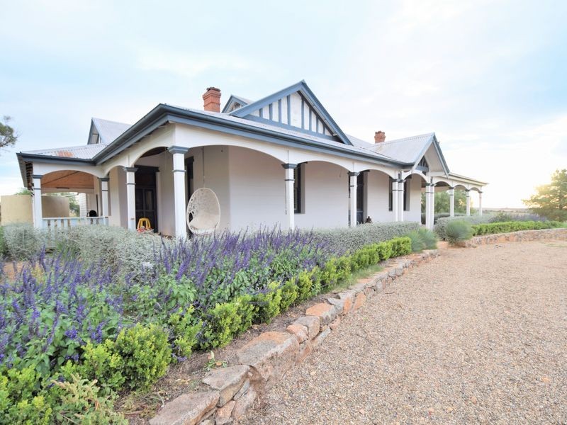 525 Old Forbes Rd, Young NSW 2594