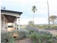 525 Old Forbes Rd, Young NSW 2594
