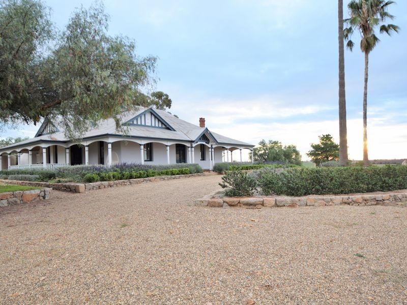 525 Old Forbes Rd, Young NSW 2594