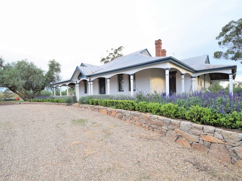 525 Old Forbes Rd, Young NSW 2594