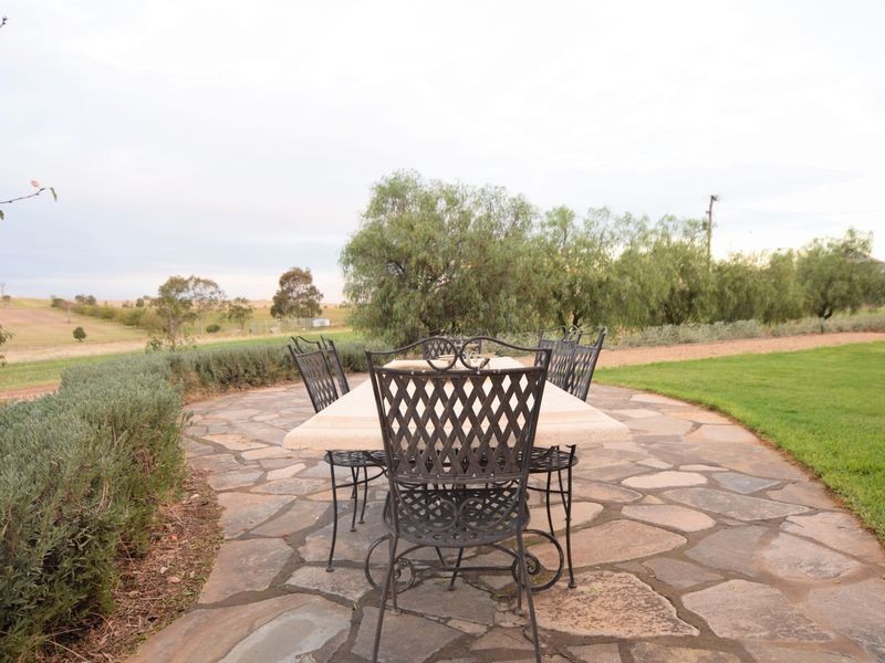 525 Old Forbes Rd, Young NSW 2594