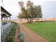 525 Old Forbes Rd, Young NSW 2594