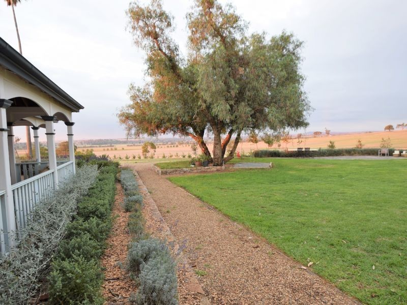 525 Old Forbes Rd, Young NSW 2594