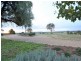 525 Old Forbes Rd, Young NSW 2594