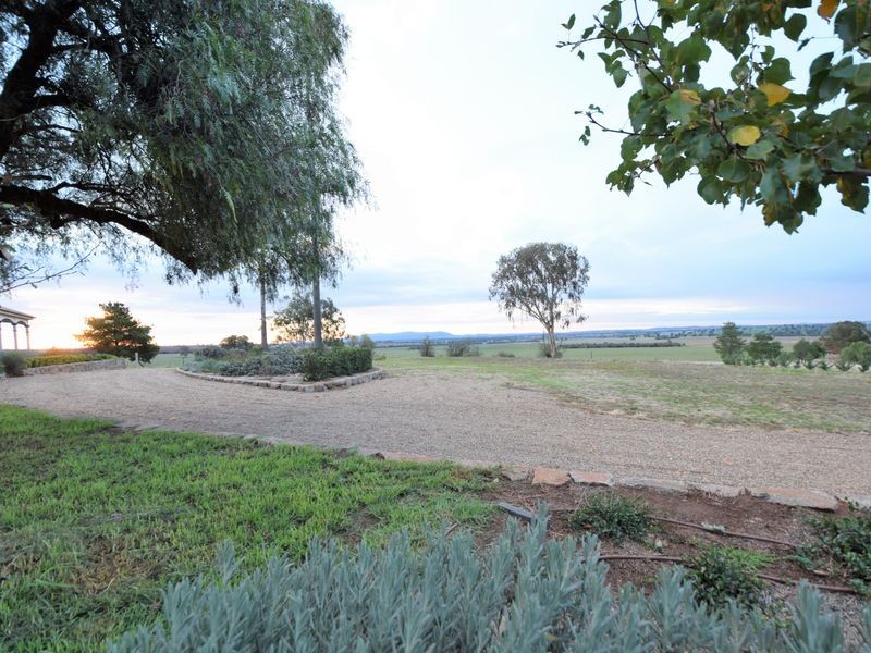 525 Old Forbes Rd, Young NSW 2594