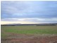 525 Old Forbes Rd, Young NSW 2594