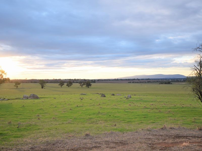 525 Old Forbes Rd, Young NSW 2594