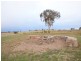 525 Old Forbes Rd, Young NSW 2594