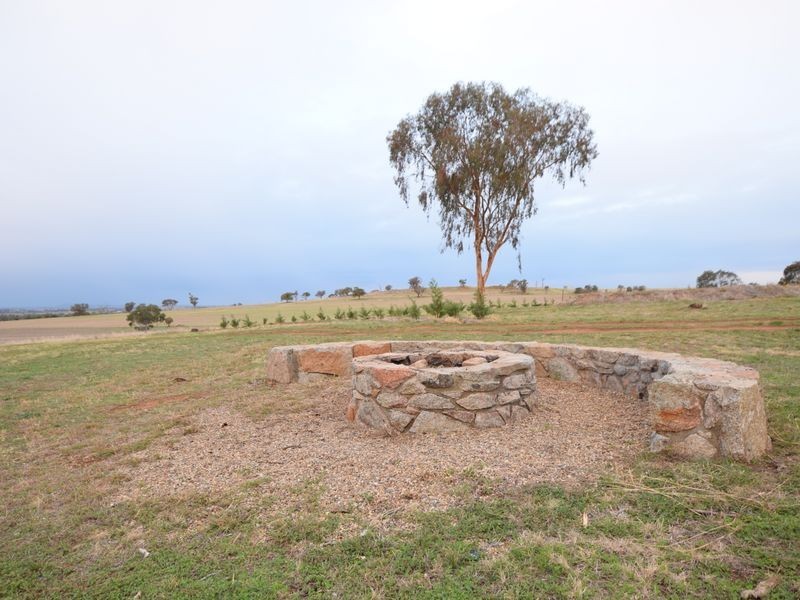 525 Old Forbes Rd, Young NSW 2594