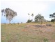 525 Old Forbes Rd, Young NSW 2594