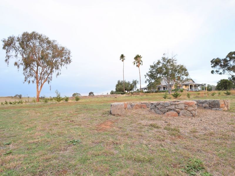 525 Old Forbes Rd, Young NSW 2594
