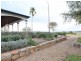 525 Old Forbes Rd, Young NSW 2594