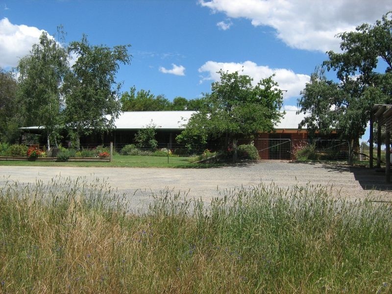 270 Back Creek Road, Young NSW 2594