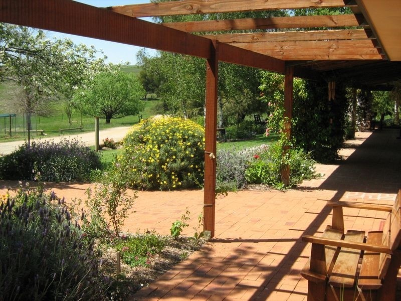 270 Back Creek Road, Young NSW 2594