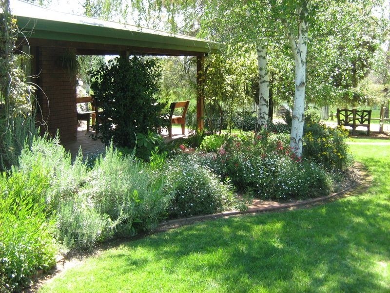 270 Back Creek Road, Young NSW 2594