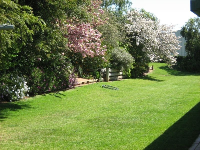 270 Back Creek Road, Young NSW 2594