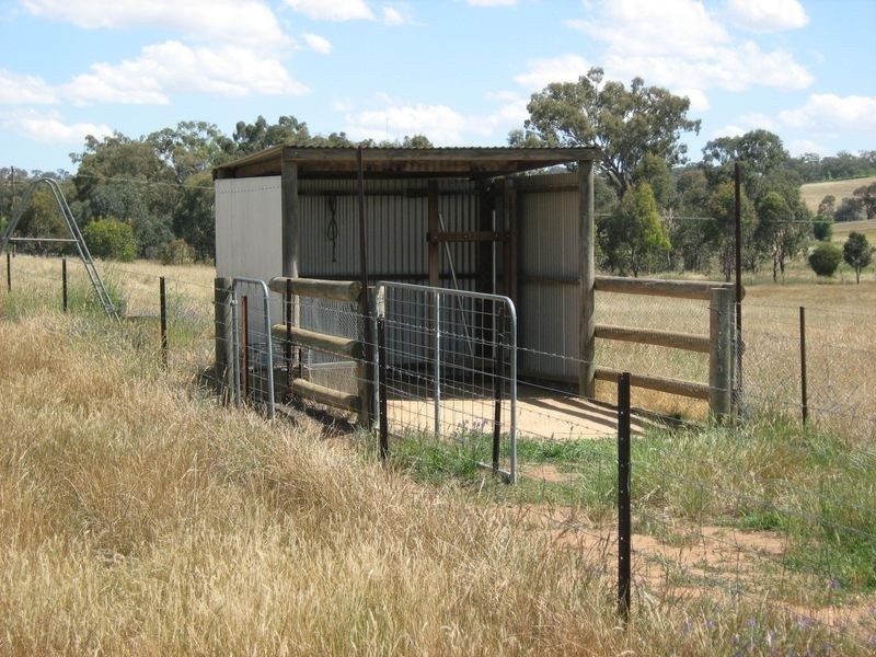 270 Back Creek Road, Young NSW 2594