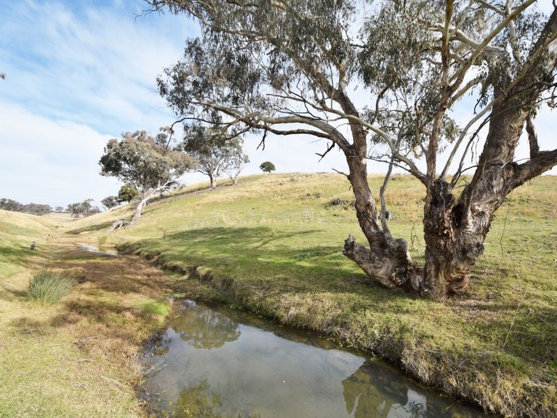 1640 Rosehill Road, Cootamundra NSW 2590