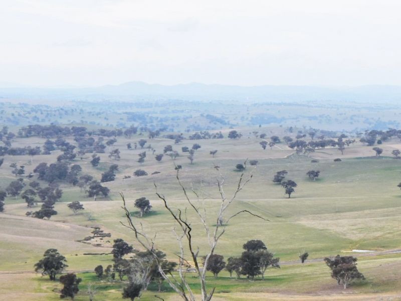 1640 Rosehill Road, Cootamundra NSW 2590