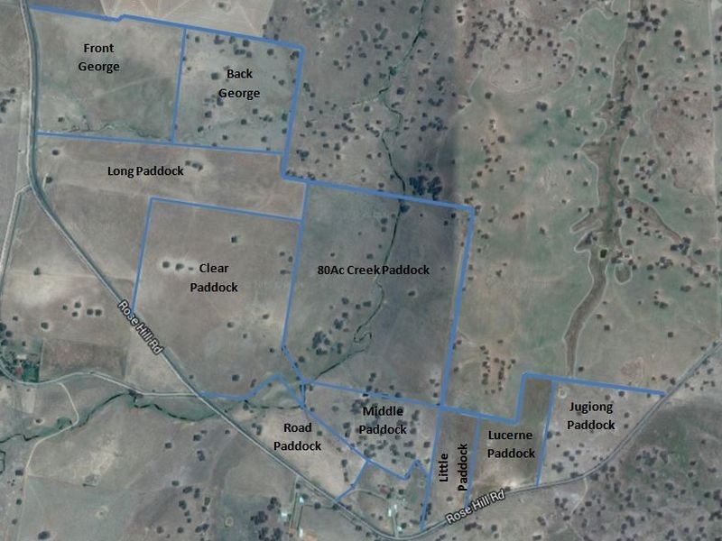 1640 Rosehill Road, Cootamundra NSW 2590