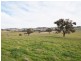 1640 Rosehill Road, Cootamundra NSW 2590