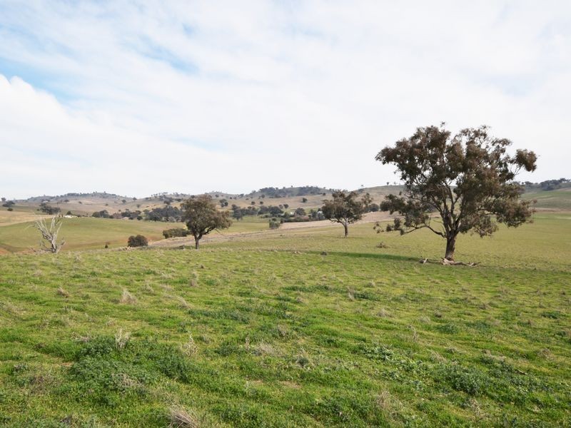 1640 Rosehill Road, Cootamundra NSW 2590