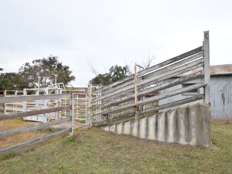 1640 Rosehill Road, Cootamundra NSW 2590