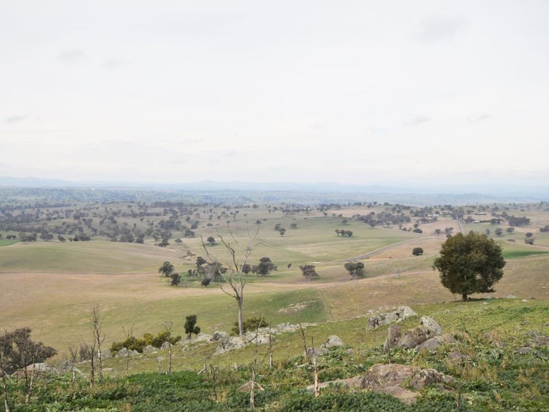 1640 Rosehill Road, Cootamundra NSW 2590