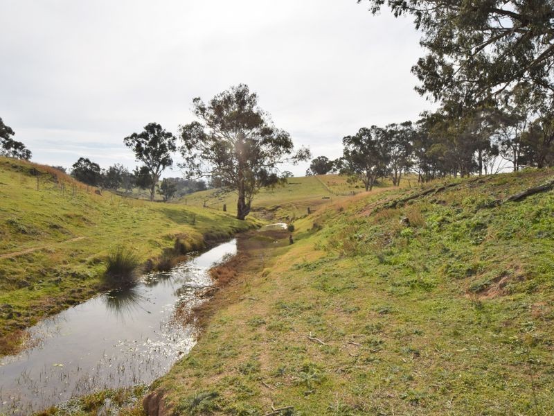 1640 Rosehill Road, Cootamundra NSW 2590