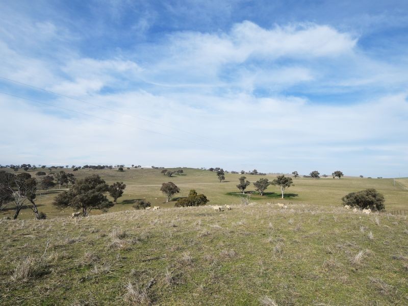 1640 Rosehill Road, Cootamundra NSW 2590