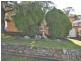 177 William Street, Young NSW 2594