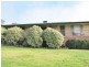 15 Henley Street, Young NSW 2594