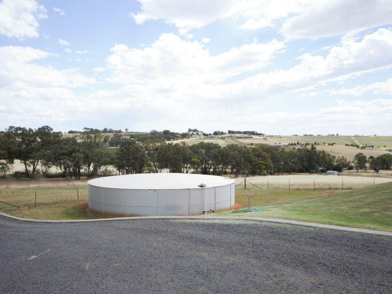 210 Bashams Lane, Young NSW 2594