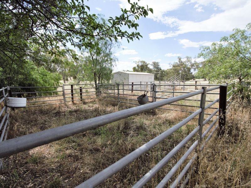 210 Bashams Lane, Young NSW 2594