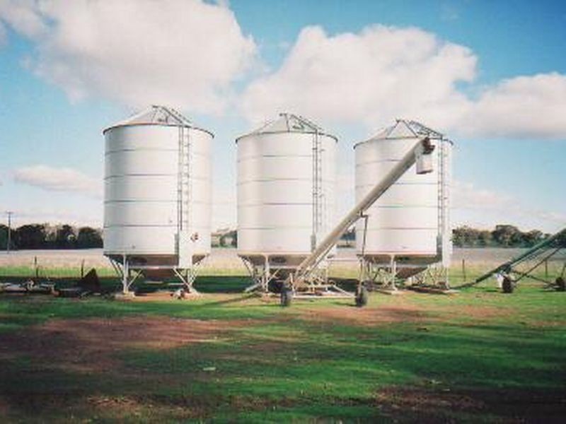 00 Somerset Weedallion, Young NSW 2594