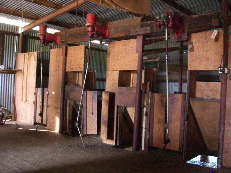 00 Somerset Weedallion, Young NSW 2594