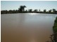 00 Somerset Weedallion, Young NSW 2594