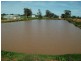 00 Somerset Weedallion, Young NSW 2594