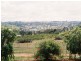 183 Spring Creek Road, Young NSW 2594
