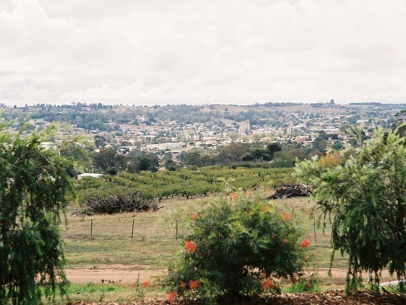 183 Spring Creek Road, Young NSW 2594