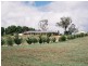 183 Spring Creek Road, Young NSW 2594