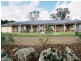 183 Spring Creek Road, Young NSW 2594