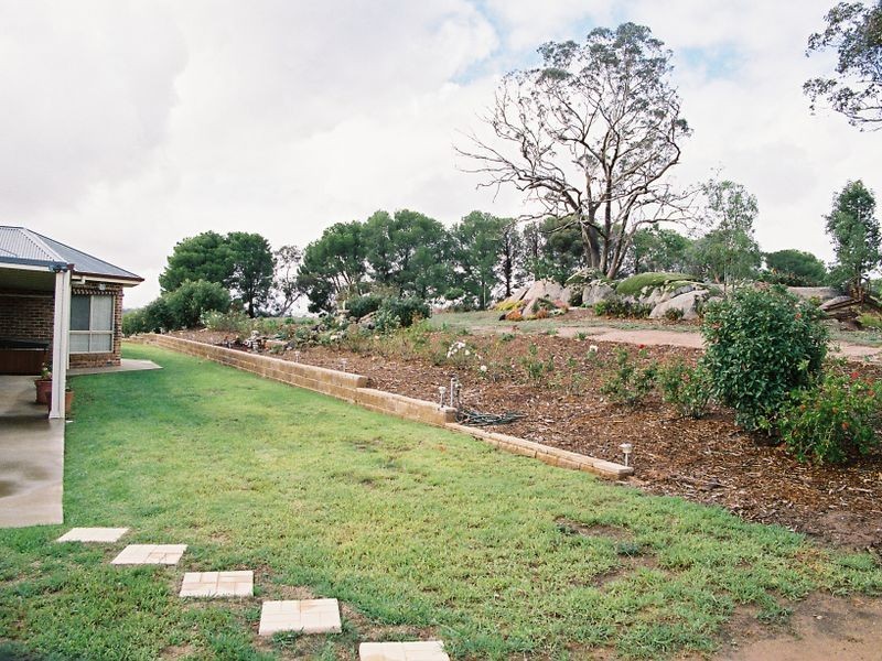 183 Spring Creek Road, Young NSW 2594